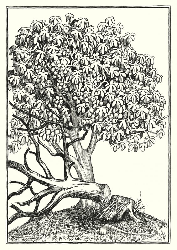 Illustratie voor De Bergrede (gravure) door Horace J. Knowles
