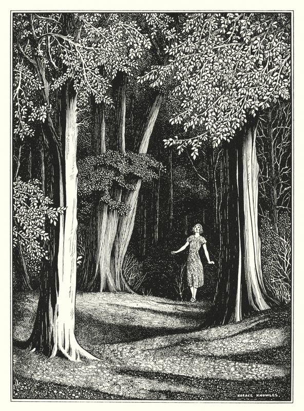 Juli (litho) door Horace J. Knowles