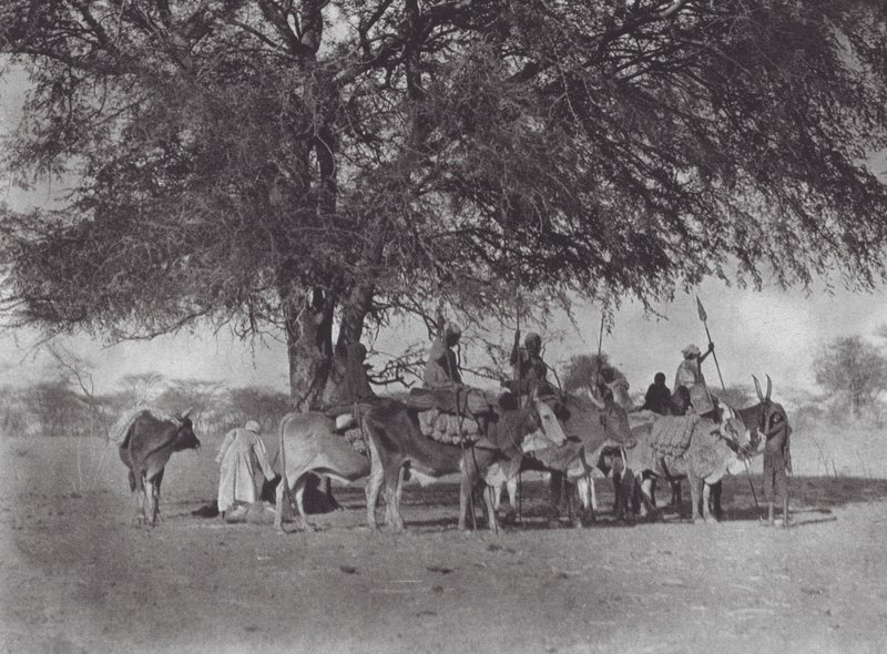 Afrika: Karavaan van os-rijders op de Witte Nijl door Hugo Adolf Bernatzik