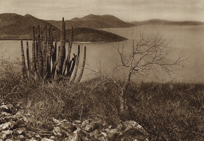 Mexico: Bij de kust van Baja California (z/w foto) door Hugo Brehme