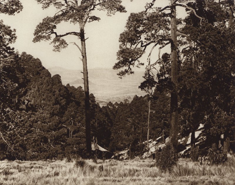 Mexico: Wild panorama aan de voet van Pico de Orizaba (z/w foto) door Hugo Brehme