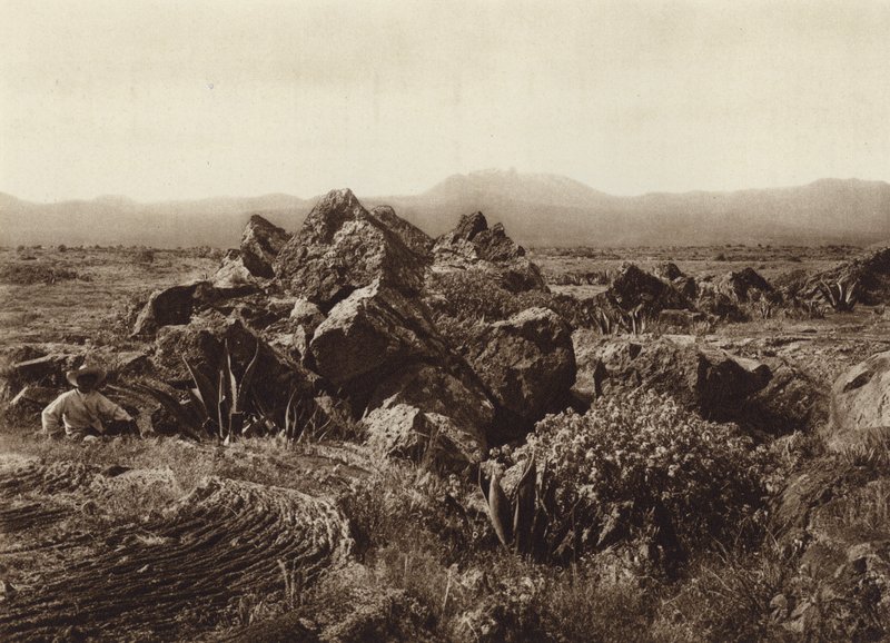 Mexico: Pedregal, Corriente de basalto-lava bij San Angel (z/w foto) door Hugo Brehme