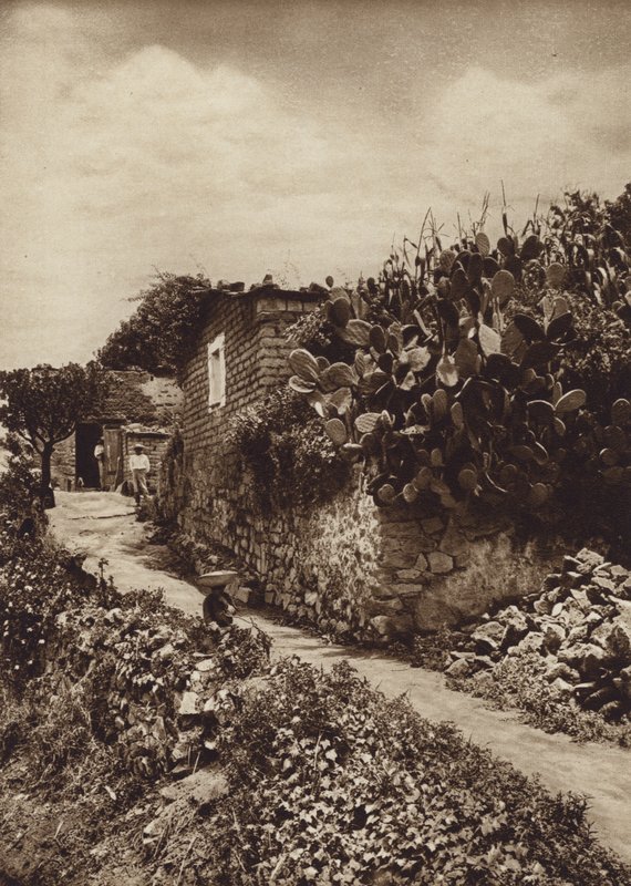 Mexico: Pittoreske hoek in San Angel D F (z/w foto) door Hugo Brehme