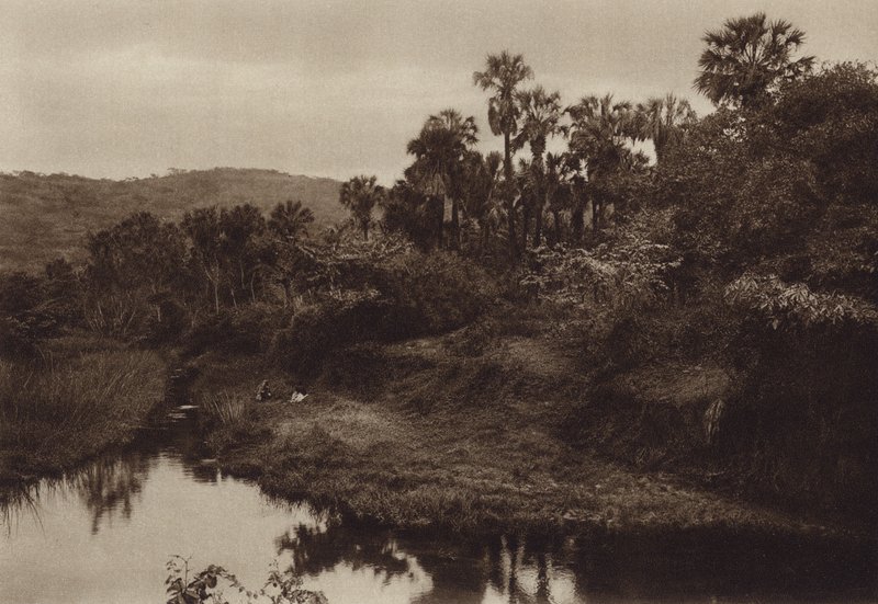 Mexico: Tamasopo, Palmenlandschap (z/w foto) door Hugo Brehme