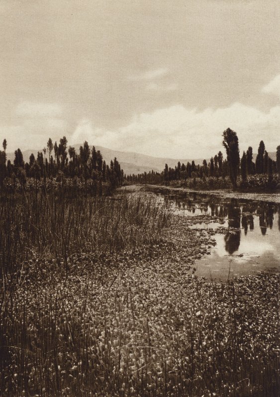 Mexico: Xochimilco, Een van de belangrijkste kanalen (z/w foto) door Hugo Brehme