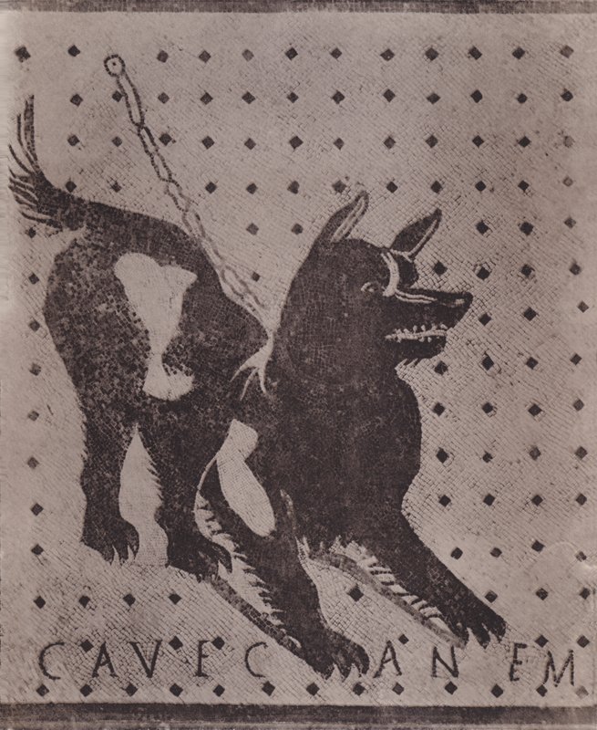 Mosaico, Cave Canem, Mozaïek, Cave Canem door Italian Photographer
