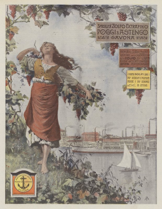 Poggi  Astengo (kleurenlitho) door Italian School