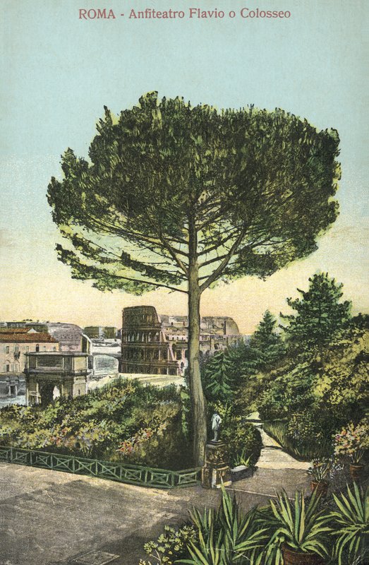 Rome, Italië, Amfitheater en Colosseum (kleurenlitho) door Italian School