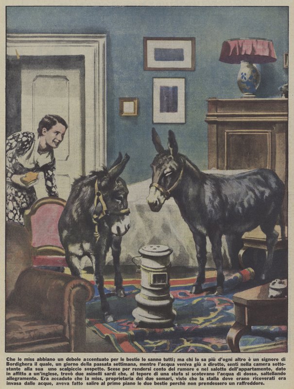 Twee ezels in een appartement in Bordighera, Italië (kleurenlitho) door Italian School