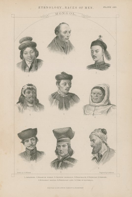 Negen gezichten van verschillende Mongoolse rassen door J.L. Williams