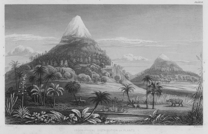 Geografische verspreiding van planten door J. (after) Stewart