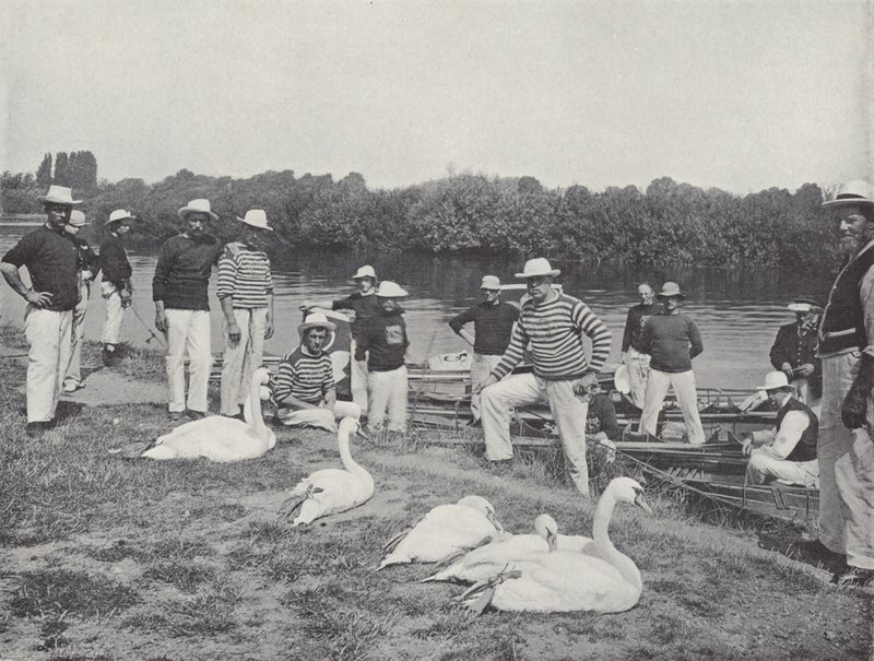 Zwanen op de Theems, onderzoeken van de Oude Vogels door J. Benjamin Stone