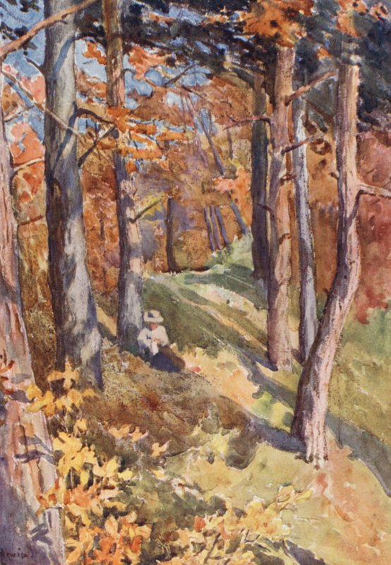 In het bos van Sauvabelin, boven Lausanne door J. Hardwicke Lewis