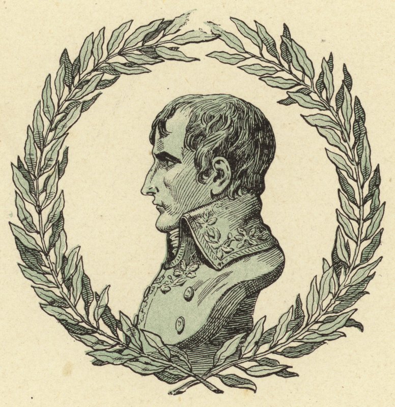 Buste van Napoleon Bonaparte door Jacques Marie Gaston Onfray de Breville (Job)