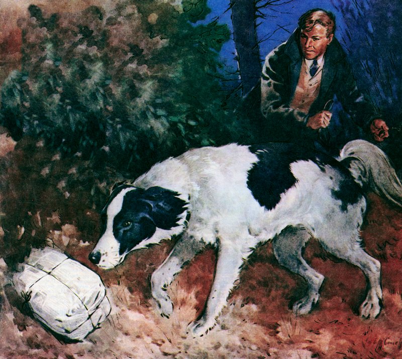 Pickles, de wereldbekerhond (kleurenlitho) door James Edwin McConnell