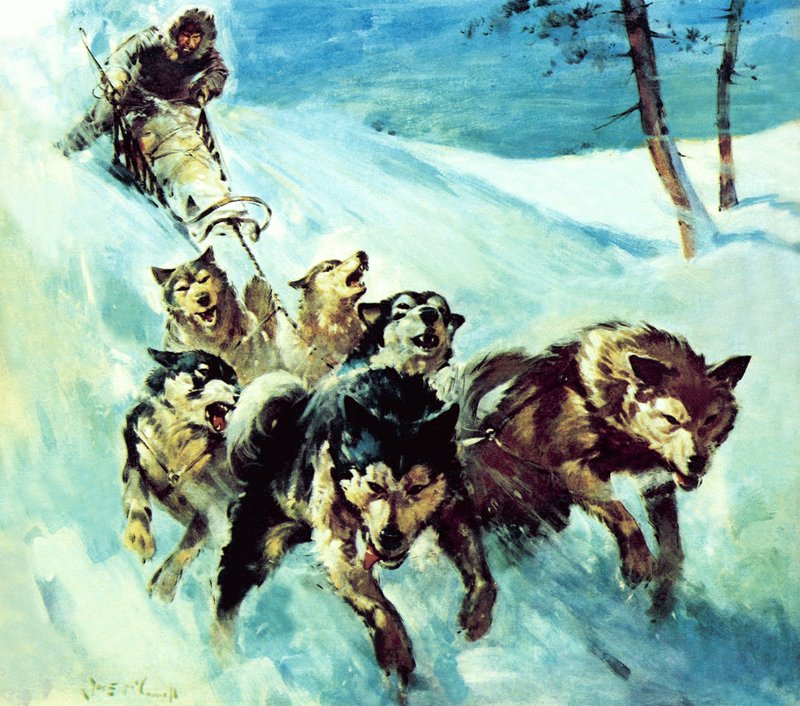 De Canadese Husky door James Edwin McConnell