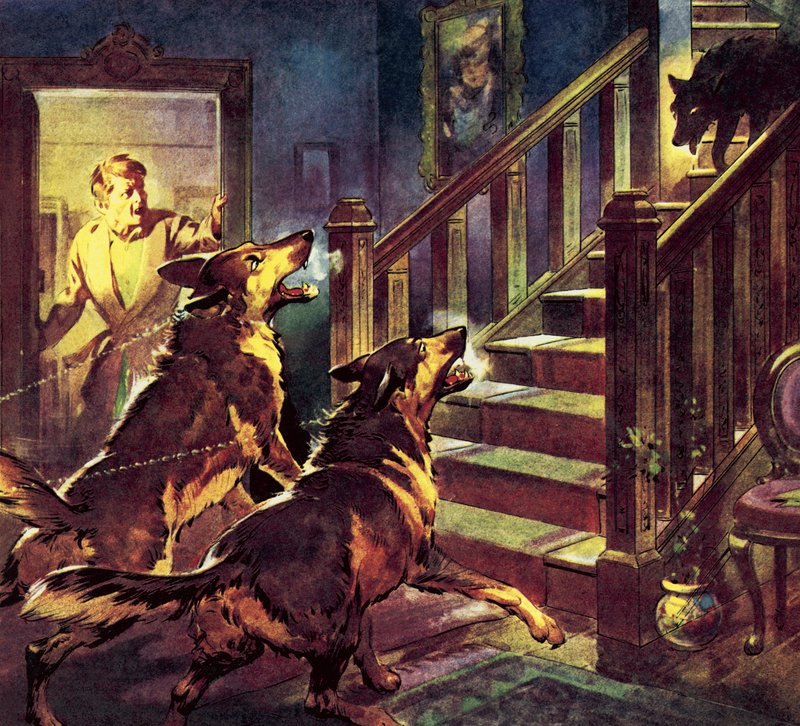 De geest van de zwarte hond door James Edwin McConnell