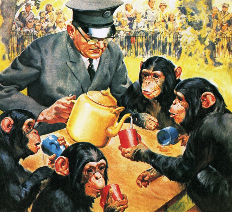 Wie is wie in de dierentuin: Thee voor vier door James Edwin McConnell