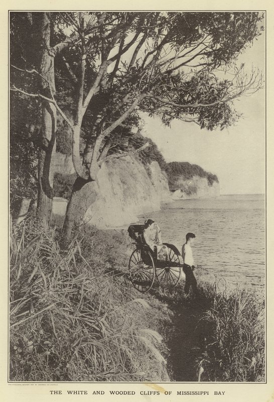 De witte en beboste kliffen van Mississippi Bay door Japanese Photographer