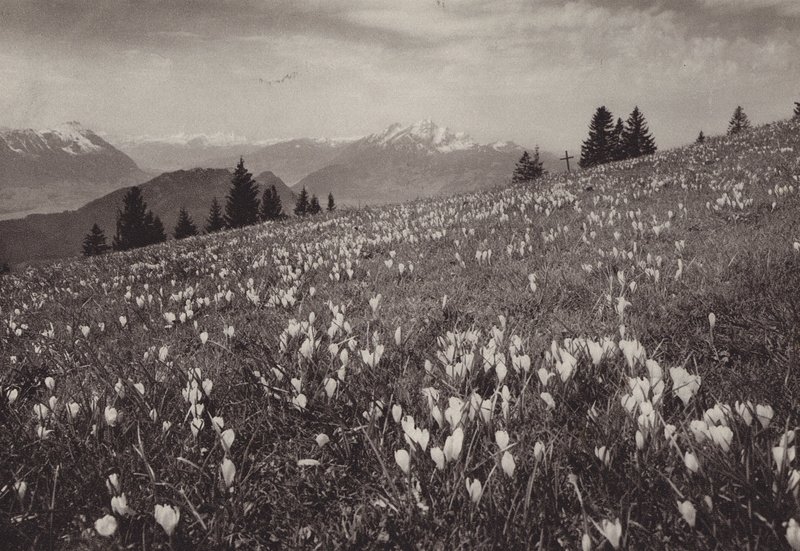 Rigi Kaltbad, Lente door Jean Gaberell