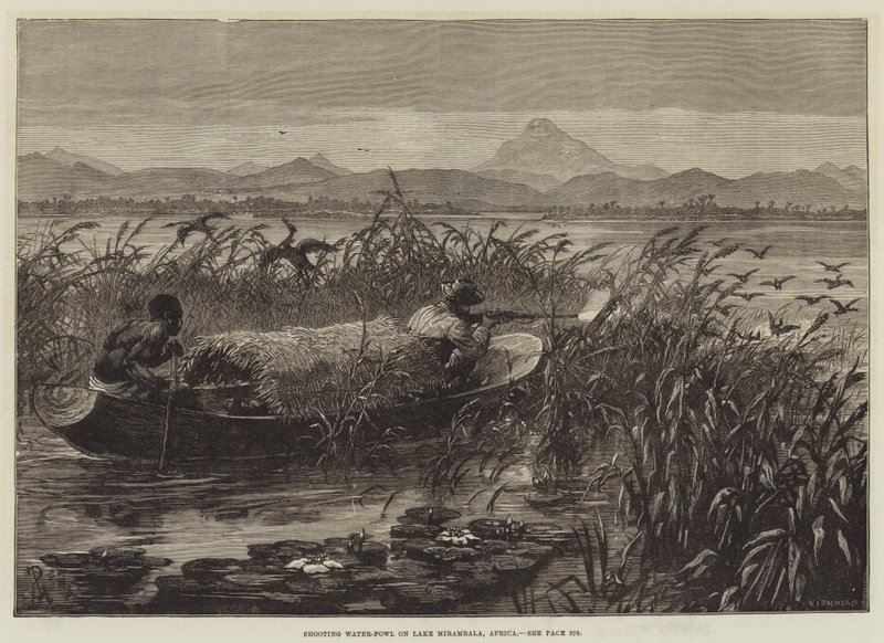 Schieten op watervogels op het Meer van Mirambala, Afrika door Johann Nepomuk Schonberg