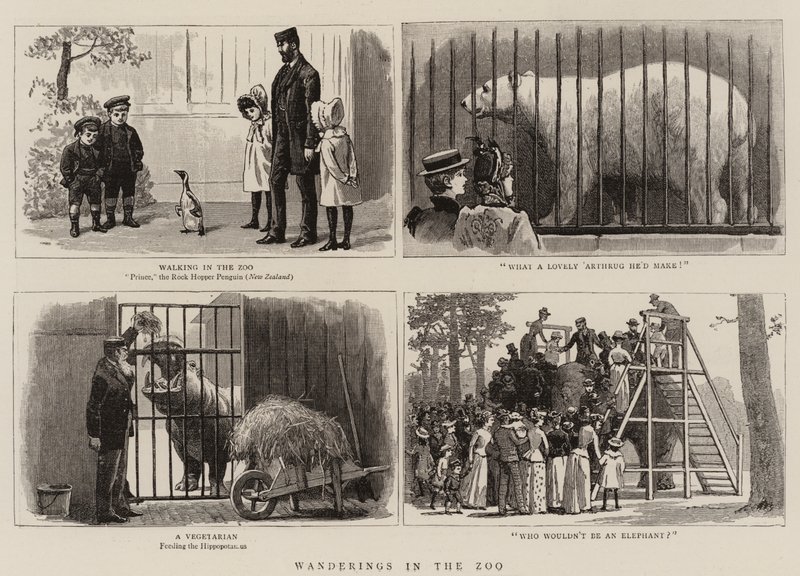 Zwerftochten in de Dierentuin door John Charles Dollman