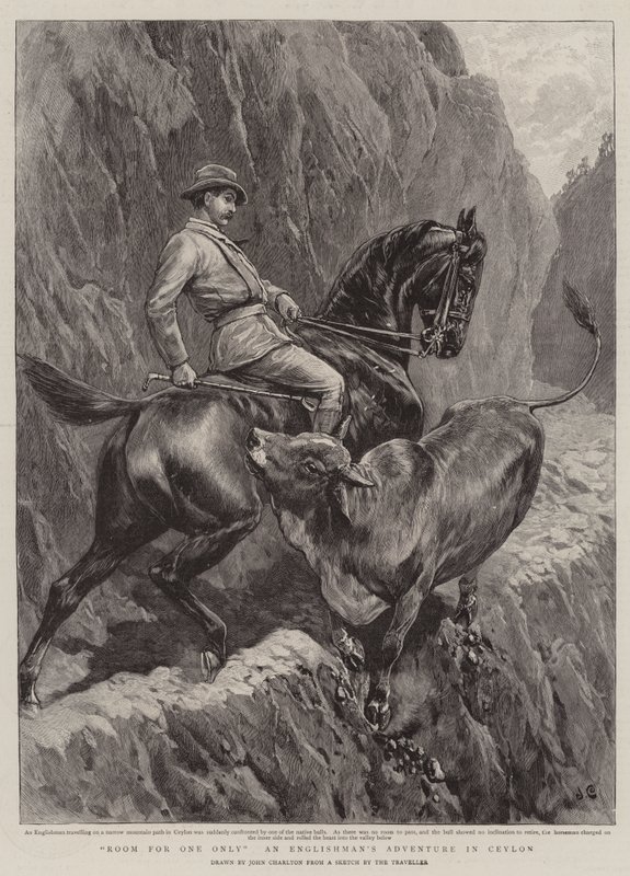 Plaats voor slechts één, een Engels avontuur in Ceylon door John Charlton