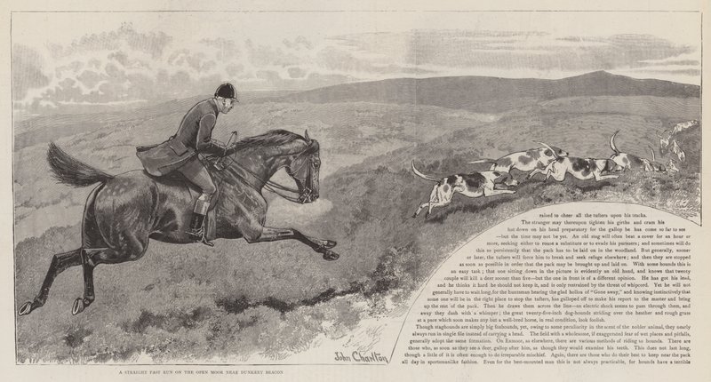 De jacht op het wilde edelhert op Exmoor door John Charlton