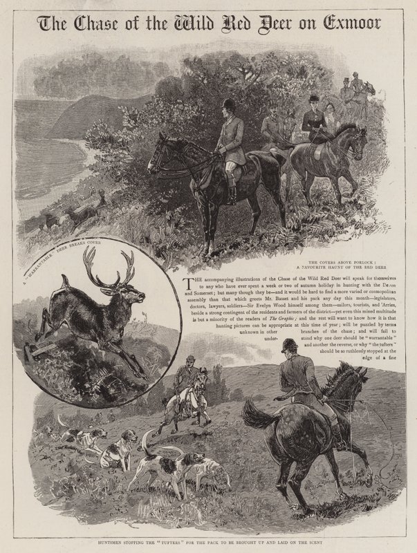 De jacht op het wilde edelhert op Exmoor door John Charlton