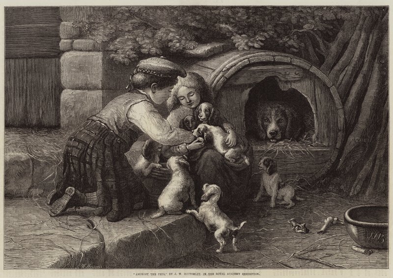 Tussen de huisdieren door John William Bottomley