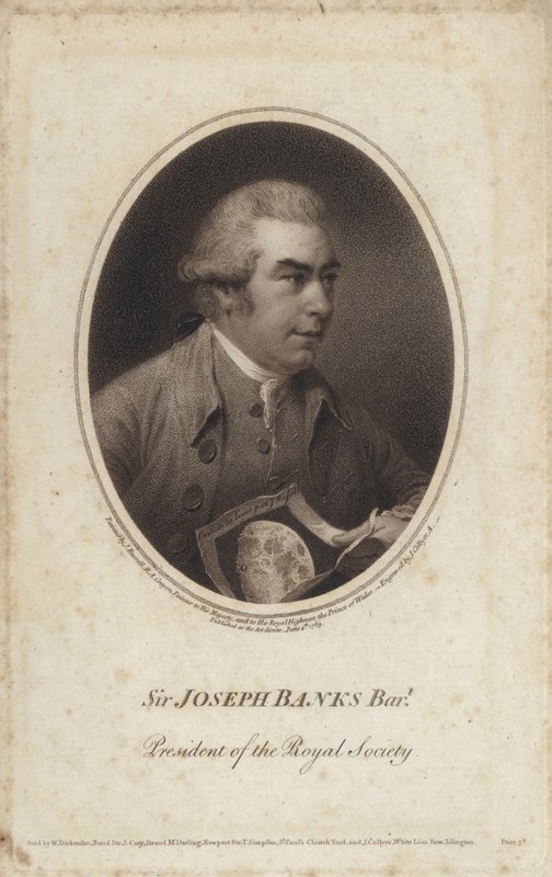 Sir Joseph Banks, Engelse natuuronderzoeker, botanicus en voorzitter van de Royal Society door John (after) Russell