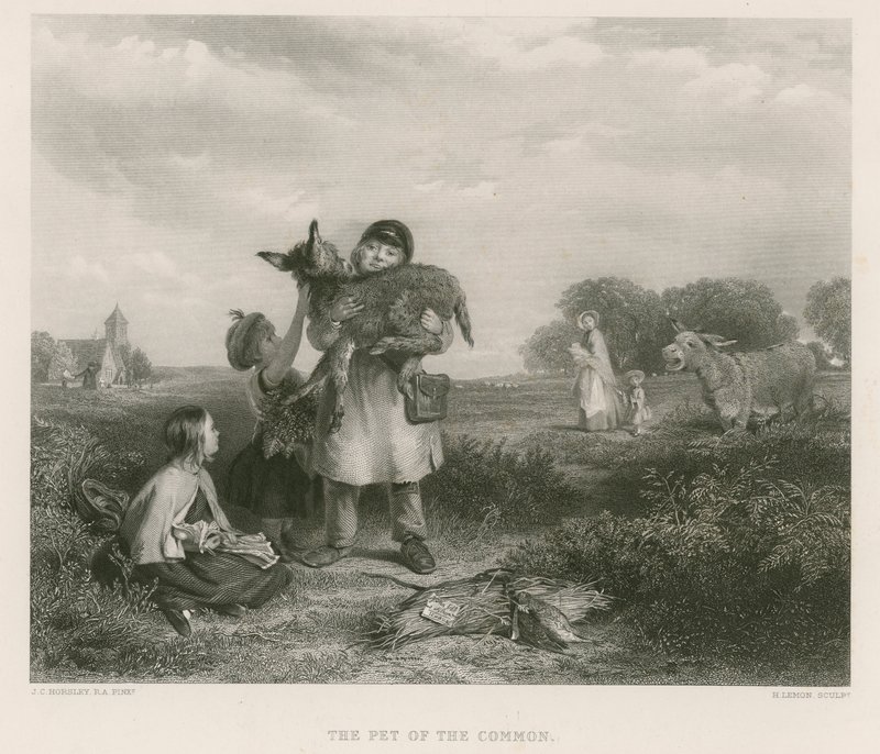 Het huisdier van de heide door John Callcott Horsley