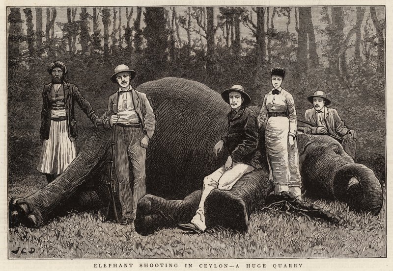 Olifantenjacht in Ceylon, een Enorme Buit door John Charles Dollman