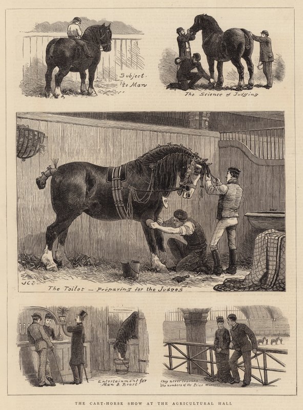 De trekpaardenshow in de Agricultural Hall door John Charles Dollman