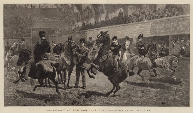 Paardenshow in de Agricultural Hall, pony