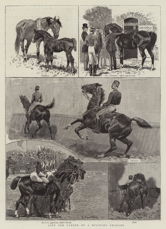 Leven en carrière van een militaire charger door John Charlton