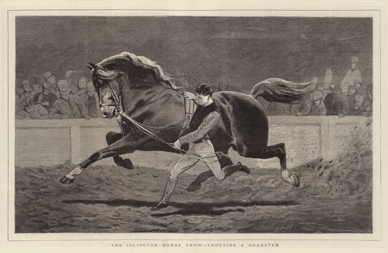 De Islington Paardenshow, een Roadster draven door John Charlton