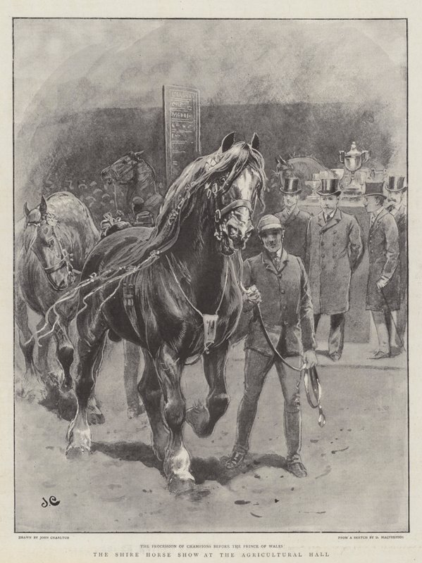 De Shire Horse Show in de Agricultural Hall door John Charlton