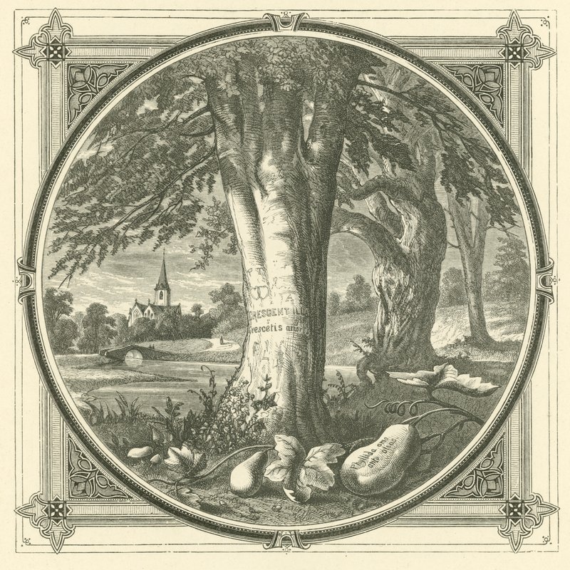 Liefde neemt onmerkbaar bezit van de geest (gravure) door John Leighton