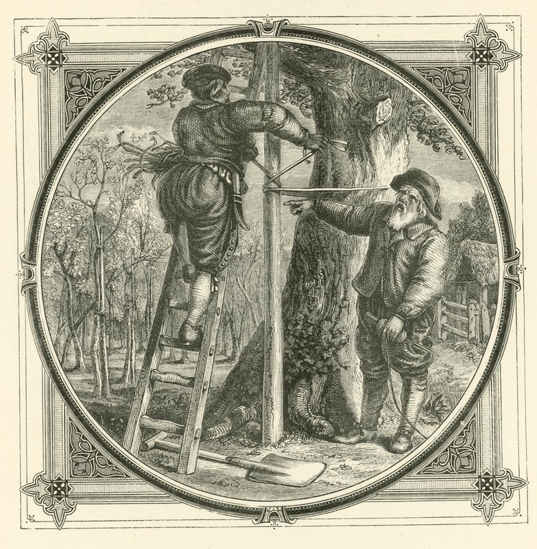 De takken kunnen worden getraind, maar niet de stam (gravure) door John Leighton