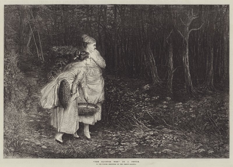 Het spookbos door John Pettie