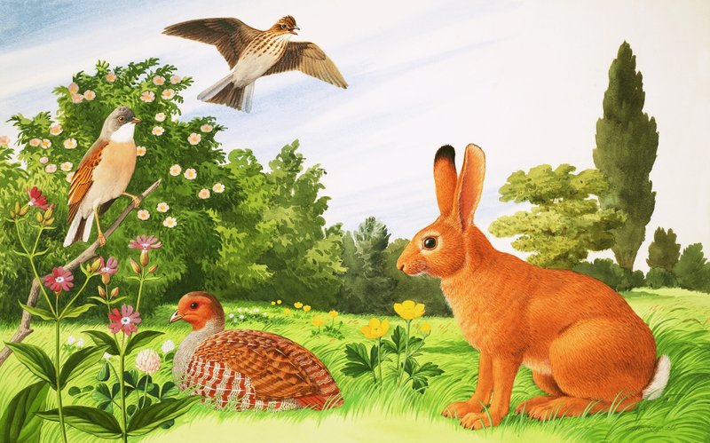 In de hoek van een veld door John Rignall
