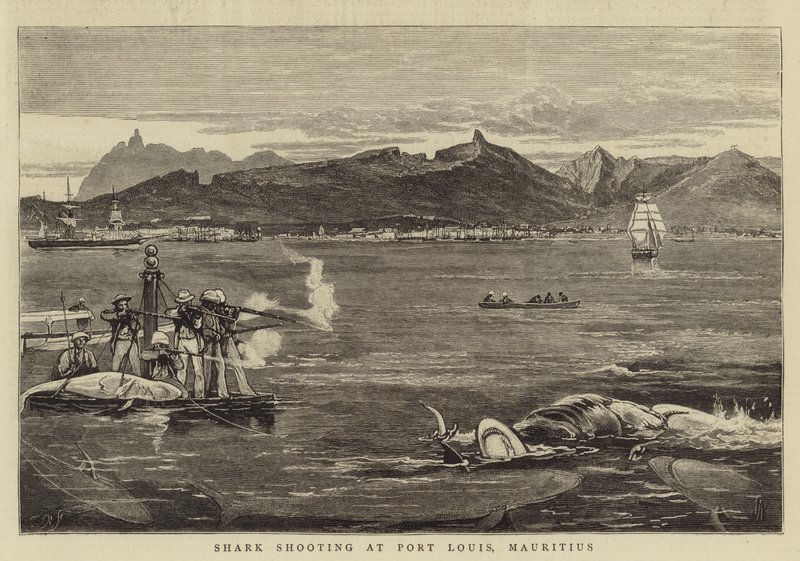 Haaien schieten in Port Louis, Mauritius door Joseph Nash