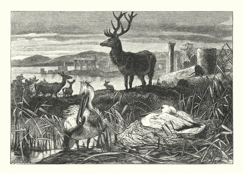 Het Verval van Aardse Pracht door Joseph (after) Wolf