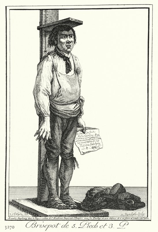 Een Vijf Voet Drie Inch Gek (gravure) door Joseph Franz von (after) Goez