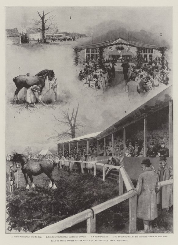 Verkoop van Shire-paarden op de stoeterij van de Prins van Wales, Wolferton door Joseph Holland Tringham