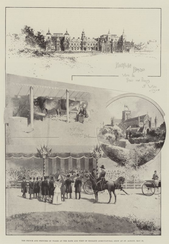 De prins en prinses van Wales op de Bath and West of England Agricultural Show in St Albans, 29 mei door Joseph Holland Tringham