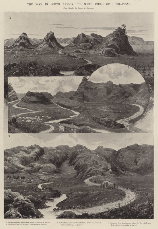 De oorlog in Zuid-Afrika, De Wet