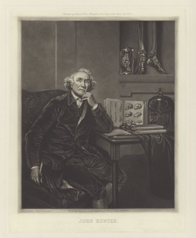 John Hunter, Schotse chirurg door Joshua Reynolds