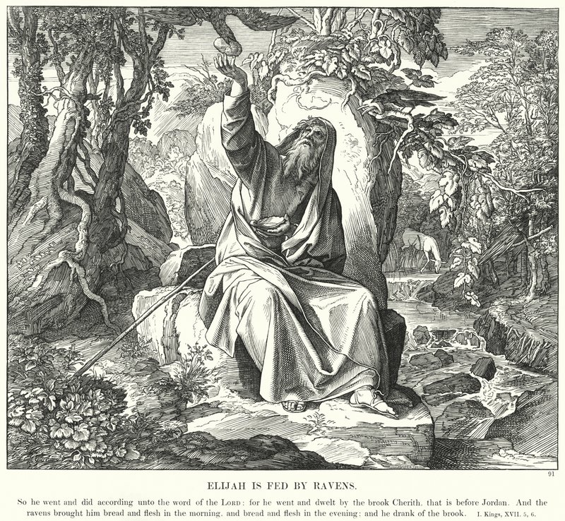 Elia wordt Gevoed door Raven door Julius (after) Schnorr von Carolsfeld